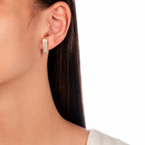 Zirconia Ear Hook Stud Earrings, 18k Gold Filled